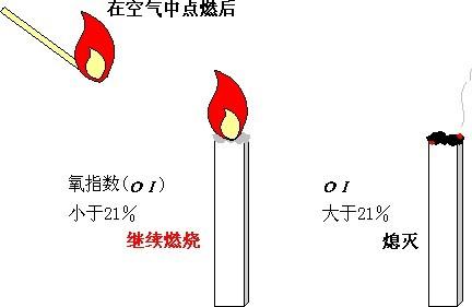 鸿运国际